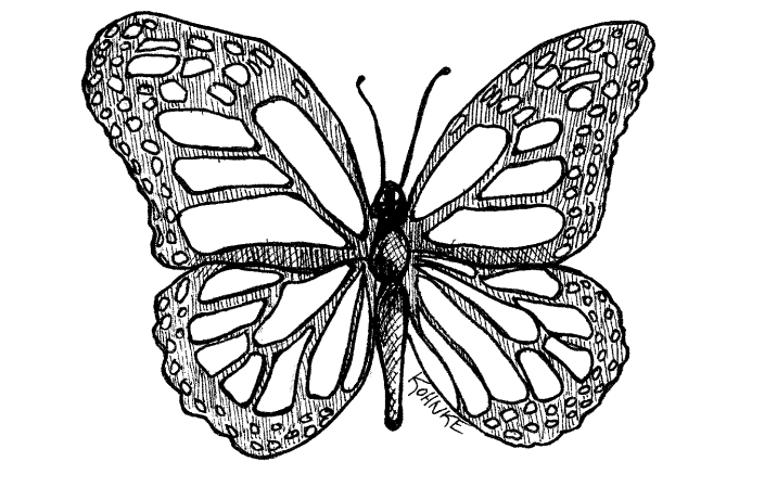 classes image