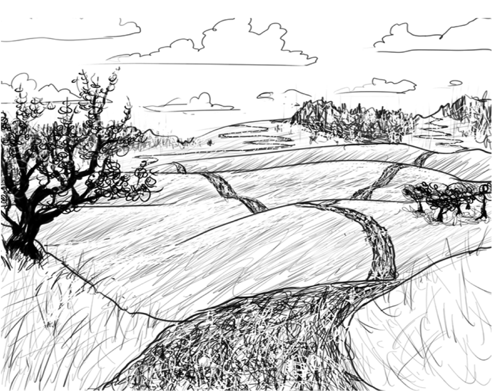 Conventions-UsedThis-Book